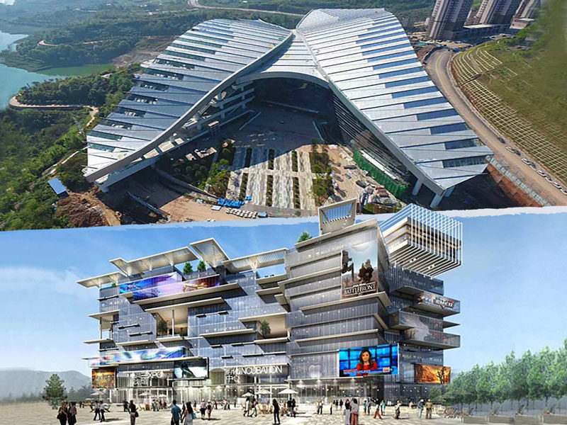 来是球迷们