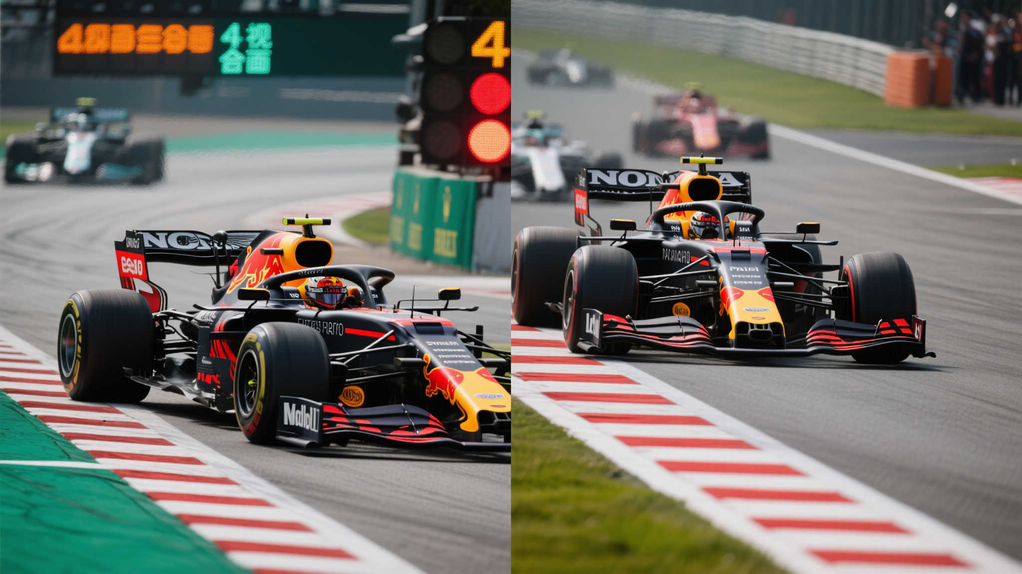 的真实写照 的真实写照